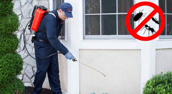 Doğanhisar Böcek İlaçlama böcek ilaçlama ve haşere kontrolü — ilaclama-tr.com